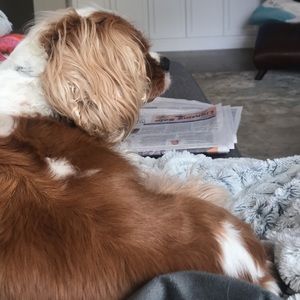 Meet your Posher, Adriana